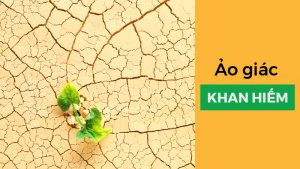 Ảo giác khan hiếm trong kinh doanh và Marketing 10