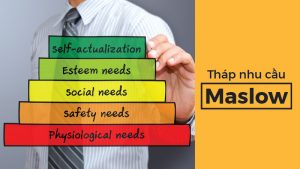 Tháp nhu cầu Maslow và ứng dụng trong quản trị Nhân sự và Marketing 4