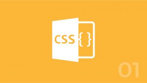 [CSS 01] Vùng chọn (Selector) trong CSS 11